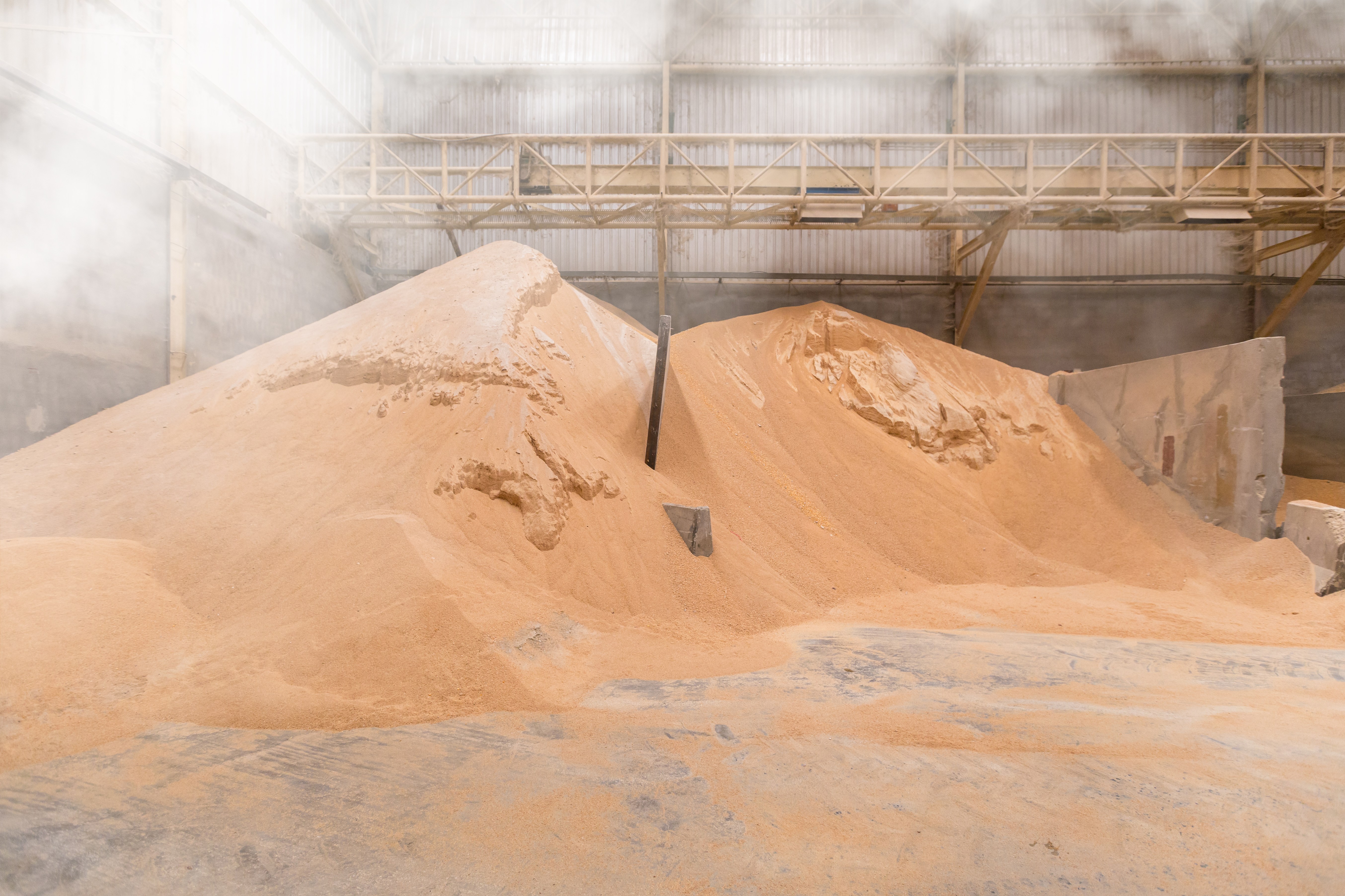 brumisation industrielle abattage poussière blé